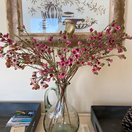 Le Petit Ampere - Proche * Les Sables-dʼOlonne